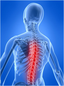 image of spine, back and neck